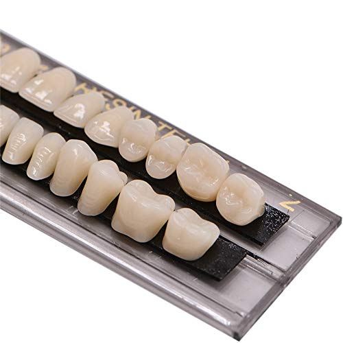 56 Adet Diş Akrilik Reçine Protez Diş Kiti Yanlış Diş 23 A2 Cadılar Bayramı Korku Dişleri(2 Takım)