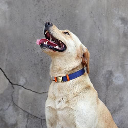 DHTDVD Naylon Büyük köpek tasması Özel köpek Adı Yaka Pet Kazınmış İsim telefon tasması Retriever Yürüyüşü için (Renk: D, Boyut: Küçük)