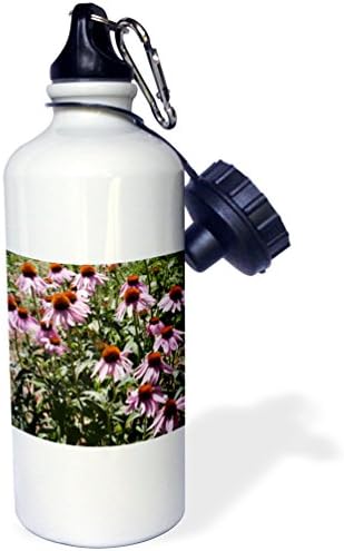 3dRose Mor Koni Çiçekleri Spor Su Şişesi, 21 oz, Doğal