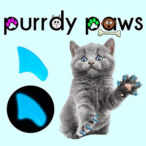 Purrdy Paws 40'lı Paket Kedi Pençeleri için Yumuşak Tırnak Kapakları Mavi Karanlıkta Parlayan (Büyük)
