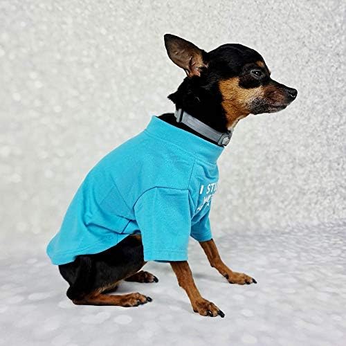 Fransız Bulldog Köpek Gömlek Evcil Hayvan Giysileri Köpek T-Shirt Kedi Tee Nefes Sıkı Kostümleri Orta