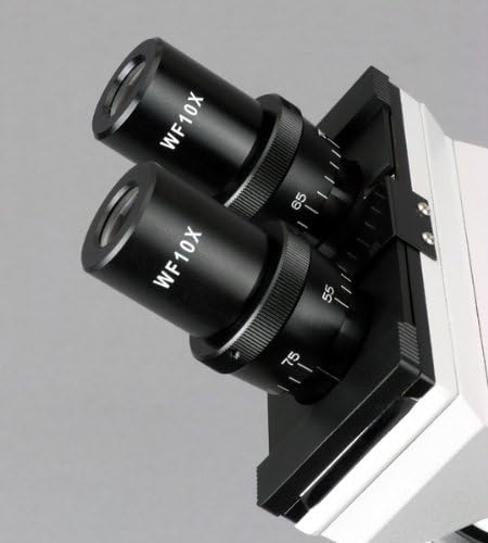 AmScope B100B-E2 Bileşik Binoküler Mikroskop, 40X-2000X Büyütme, Brightfield, Tungsten Aydınlatma, Abbe Kondenser, Düz Sahne, 2MP Kamera