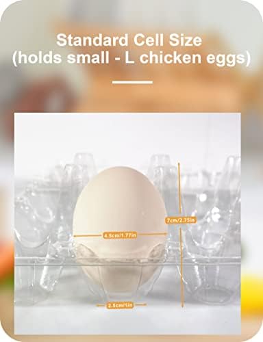 Pintuson Yumurta Kartonları Ucuz Toplu 60 Paket-Tavuk Yumurtası için 1 Düzine Şeffaf Boş Yumurta Kartonu Tutar-Ev Çiftliği için Yeniden