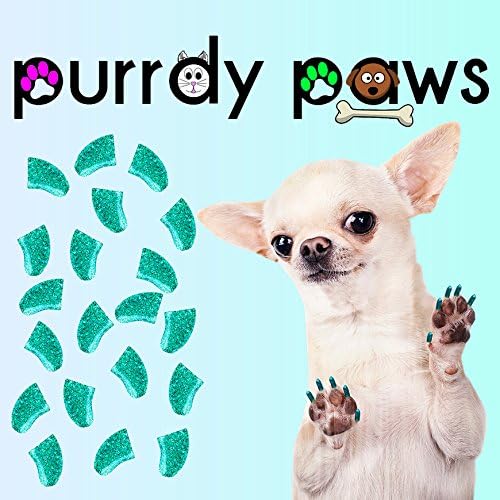 Purrdy Paws 40 Paket Yumuşak Tırnak Kapakları Köpek Pençeleri için Seafoam Glitter Jumbo