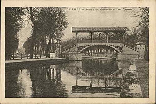 Avenue des Maronniers et Pont Napoleon Lille, Fransa Orijinal Antika Kartpostal