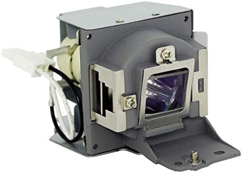 acer QNX1118 QNX1119 Projektör Lambası Dekain (Orijinal Phılıps Ampul İçinde)