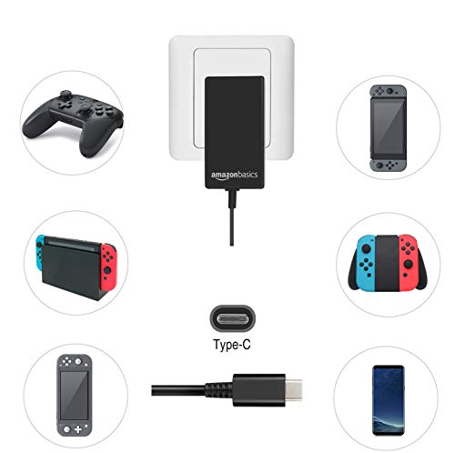 Temelleri Çift Voltajlı USB Tip-C'den Nintendo Switch için AC Güç Adaptörü Şarj Cihazına - 6 Ayak Kablosu, Siyah