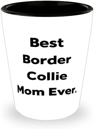 Güzel Border Collie Köpeği, Gelmiş geçmiş en iyi Border Collie Annesi, Köpek Annesinden Özel Doğum Günü