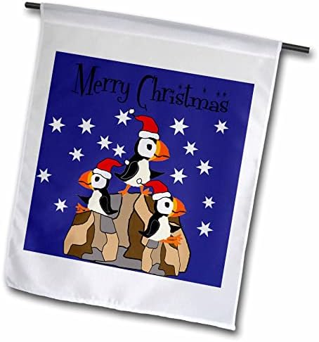 3dRose Noel Baba Şapkalarında Kayalarda Komik Sevimli Kabarık Kuşlar Noel İlkel Sanat Bayrakları (fl_351686_1)