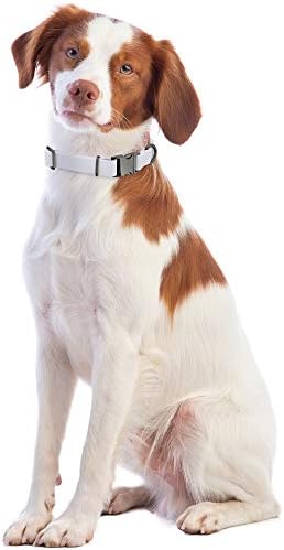 MiMu Orta Silikon köpek tasması-Toka toka ve D-Ring Tasma Halkası ile Beyaz 20in Şık köpek tasması