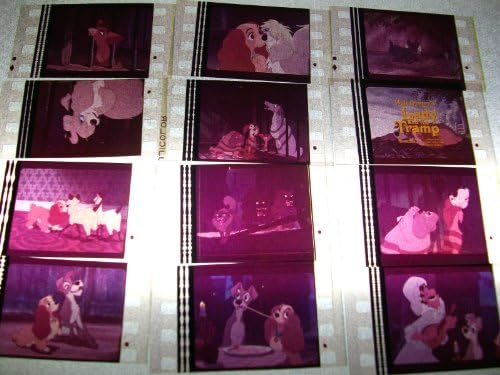 LADY & TRAMP Lot 12 35mm Film Cep Koleksiyon Hatıra Tamamlar Poster Kitap Tiyatro