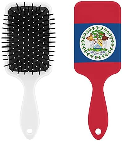 Bayrak Belize Saç Fırçası Sevimli Fırça hava yastığı Tarak Erkekler Kadınlar için Saç Hediye