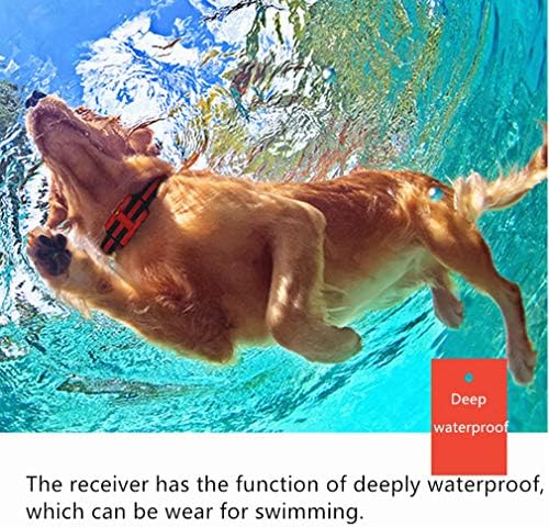 Köpek Eğitim tasması, Büyük orta küçük Köpekler için 1640ft Köpek şok Tasması, 3 modlu ışık bip sesi titreşim şoku, su geçirmez ve